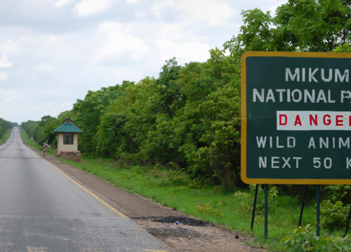 3 Day / 2 Nights – Mikumi National Park Safari Experience