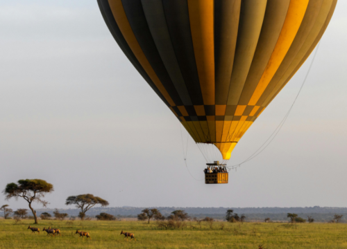 Hot Air Balloon Safaris