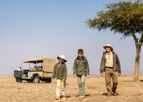 Family Safaris