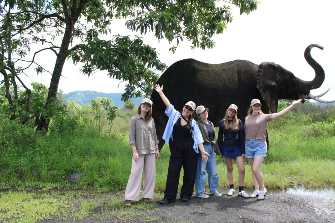 Tailor-Made Safaris