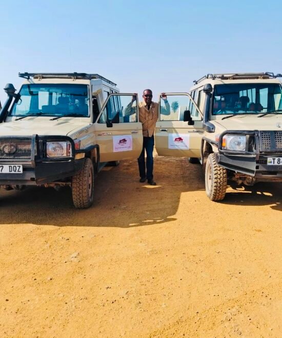 Safari Adventure