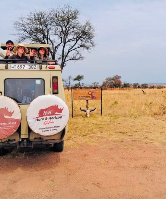 Safari Adventure