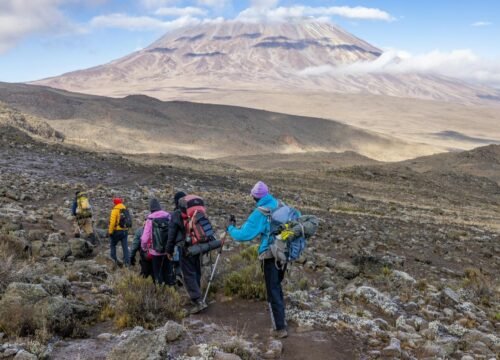 7 Days / 6 Nights Mount Kilimanjaro Marangu Route Trek