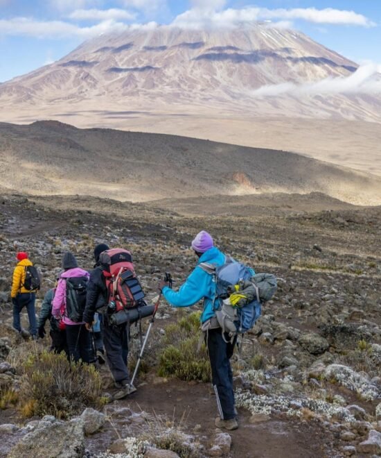 7 Days / 6 Nights Mount Kilimanjaro Marangu Route Trek