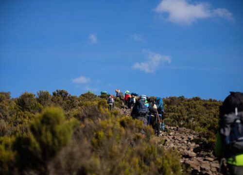 7 Days / 6 Nights Mount Kilimanjaro Marangu Route Trek