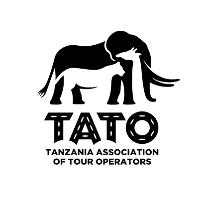tato-logoa