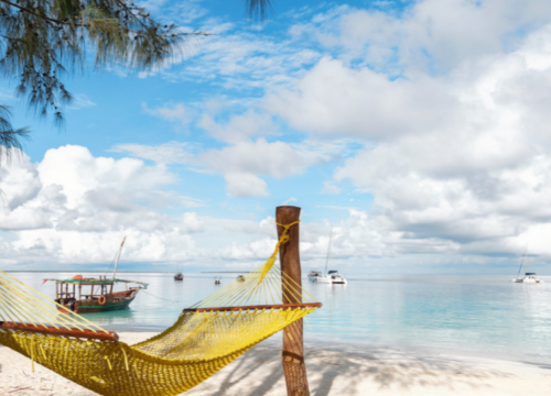 Luxury Safaris